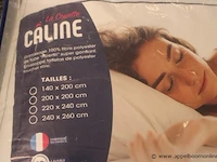 2 donsdekens caline 140x200 - afbeelding 2 van  2
