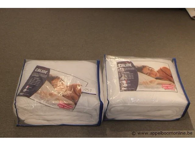 2 donsdekens wo 200x200 - afbeelding 1 van  2