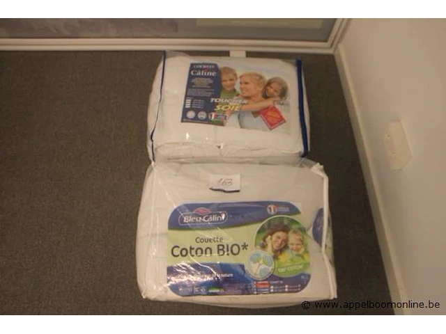 2 donsdekens wo 220x260 - afbeelding 1 van  2