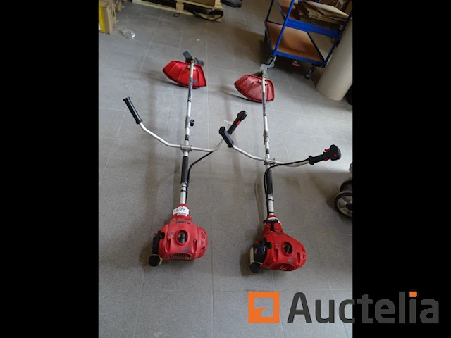2 einhell benzine bosmaaiers - afbeelding 1 van  10