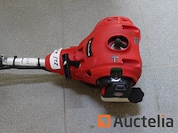 2 einhell benzine bosmaaiers - afbeelding 3 van  10
