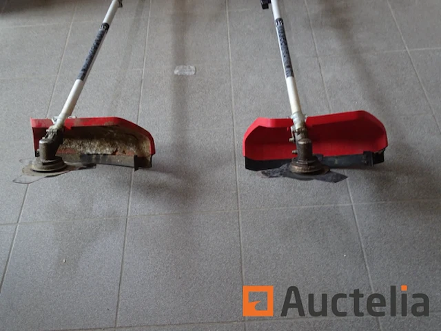 2 einhell benzine bosmaaiers - afbeelding 8 van  10
