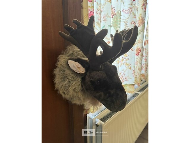 2 eland hoofden - afbeelding 3 van  6