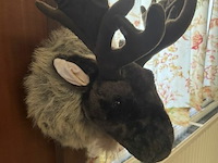 2 eland hoofden - afbeelding 3 van  6