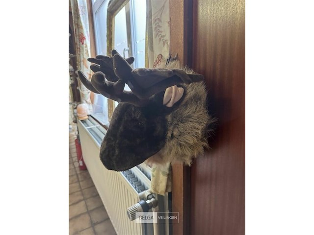 2 eland hoofden - afbeelding 4 van  6