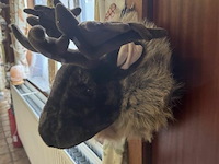 2 eland hoofden - afbeelding 4 van  6