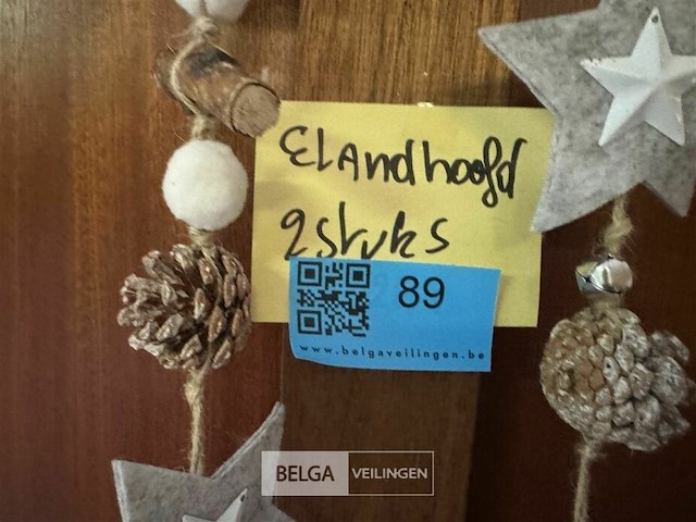 2 eland hoofden - afbeelding 5 van  6