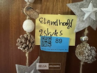 2 eland hoofden - afbeelding 5 van  6