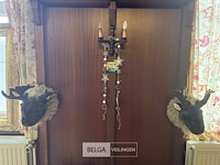 2 eland hoofden - afbeelding 6 van  6