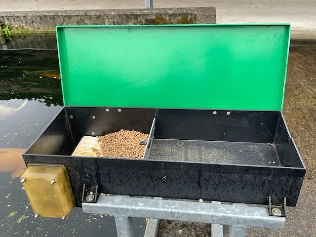 2 fiad voederautomaten met loopband voor vissen - afbeelding 1 van  3
