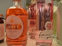 2 fl. seedlip grove 42 citrus 70cl, 2 fl. seedlip spice 94 aromatic 70cl, 3 fl. rubbens fam 50cl, 3 fl. odett apero mix 50cl, 1 fl. midnight moon apple 35cl, 4 fl. mignight moon raspberry 35cl, - afbeelding 4 van  5