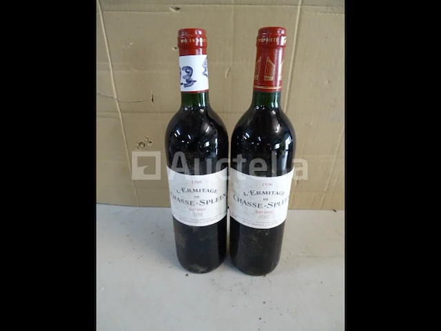2 flesjes haut-médoc l'ermitage de chasse-spleen 1996 - afbeelding 1 van  3