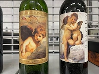 2 flessen costières de nîmes
