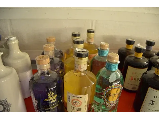 2 flessen ibisensa gin 50cl, 4 flessen original pure gin 70cl, 3 flessen gin s72 70cl (654,655,656) - afbeelding 1 van  5