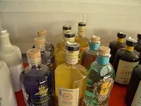 2 flessen ibisensa gin 50cl, 4 flessen original pure gin 70cl, 3 flessen gin s72 70cl (654,655,656) - afbeelding 1 van  5