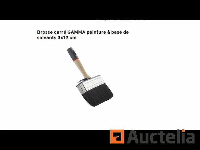 2 gamma vierkante penselen - afbeelding 1 van  3