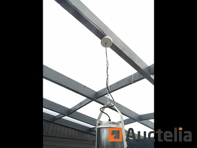 2 geschorste lamps - afbeelding 2 van  8