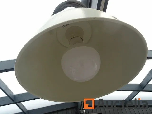 2 geschorste lamps - afbeelding 4 van  8