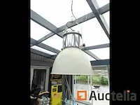 2 geschorste lamps - afbeelding 5 van  8