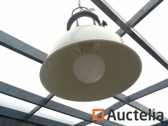 2 geschorste lamps - afbeelding 6 van  8
