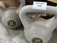 2 gewichten, 10 en 12 kg - afbeelding 1 van  1