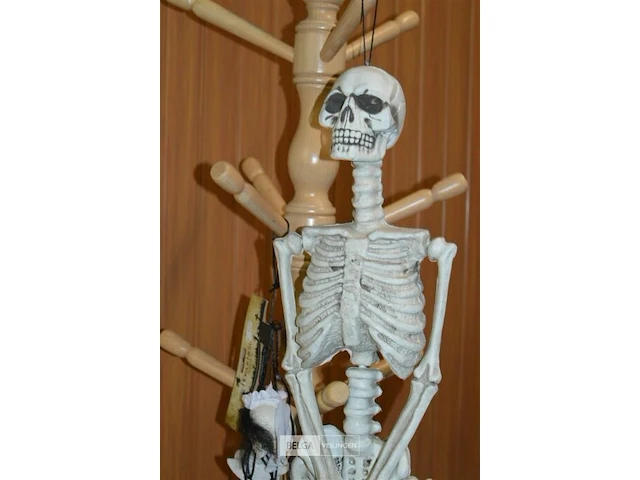 2 halloween deco skelet - afbeelding 2 van  4