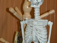 2 halloween deco skelet - afbeelding 2 van  4