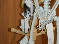 2 halloween deco skelet - afbeelding 3 van  4