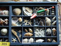 2 kaders met deco schelpen - afbeelding 4 van  4