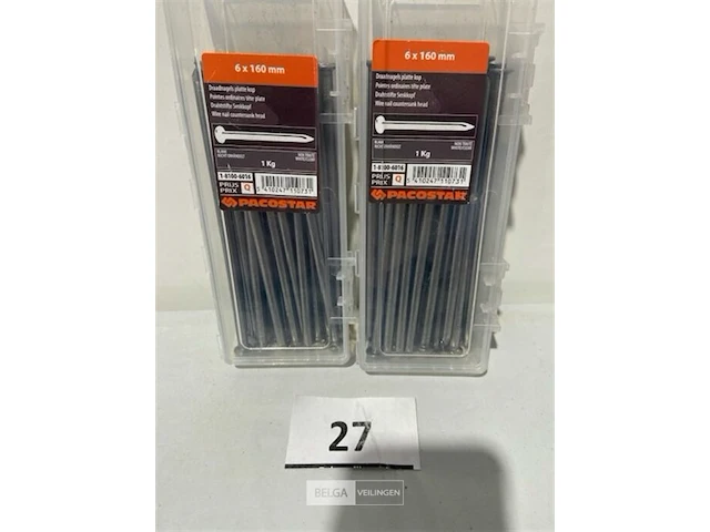 2 kg draadnagels platte kop 6 x 160 mm - afbeelding 1 van  3