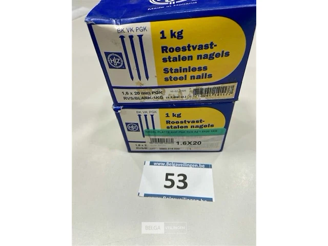 2 kg rvs nagels met platte kop 1,6 x 20 mm - afbeelding 1 van  3