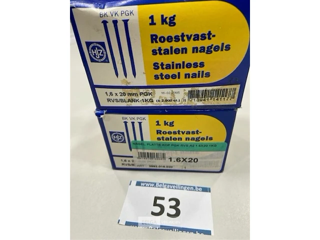 2 kg rvs nagels met platte kop 1,6 x 20 mm - afbeelding 3 van  3