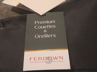 2 kussen ferdown - afbeelding 2 van  2