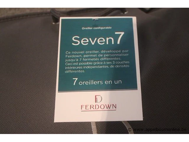 2 kussen ferdown - afbeelding 2 van  2