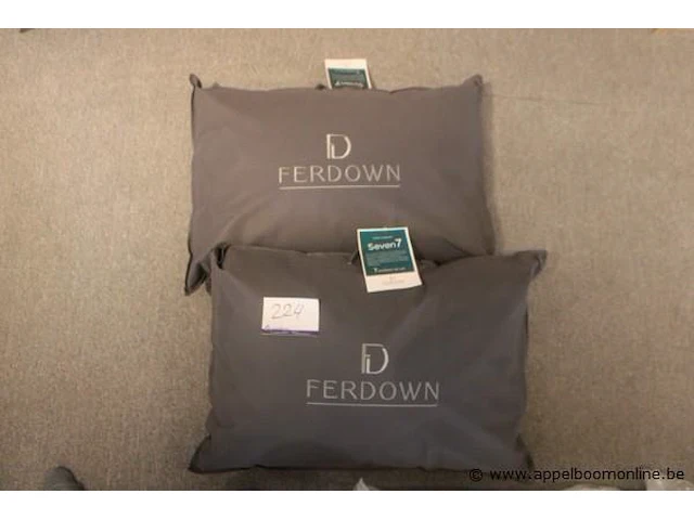 2 kussen ferdown - afbeelding 1 van  2