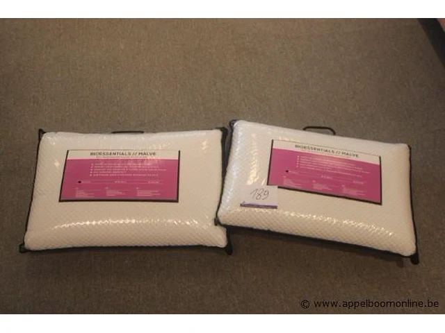 2 kussens bioessentials 60x40 - afbeelding 1 van  2