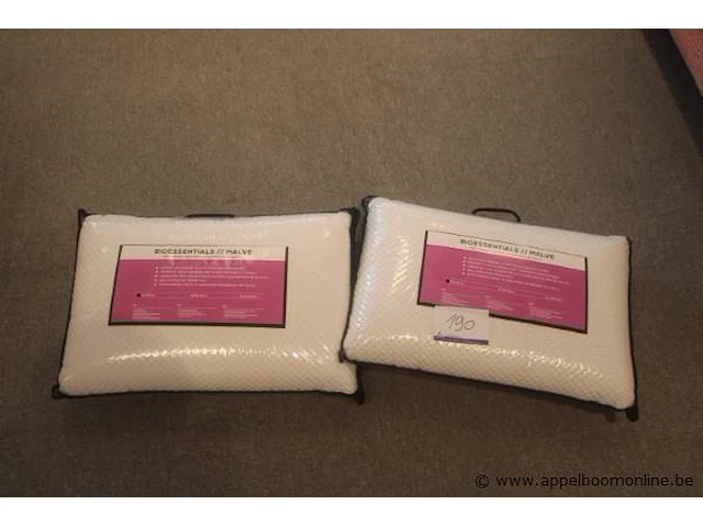 2 kussens bioessentials 60x40 - afbeelding 1 van  2