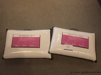 2 kussens bioessentials 60x40 - afbeelding 1 van  2
