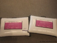 2 kussens bioessentials 60x40 - afbeelding 1 van  2