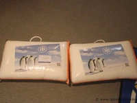 2 kussens senso cool smart - afbeelding 1 van  2