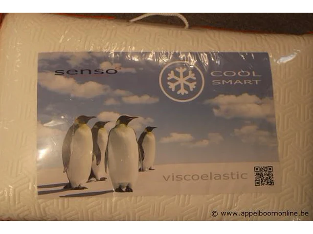 2 kussens senso cool smart - afbeelding 2 van  2