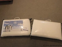 2 kussens senso cool smart - afbeelding 1 van  2