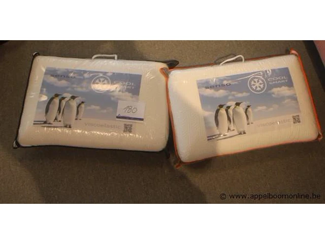 2 kussens senso cool smart - afbeelding 1 van  2