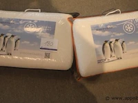 2 kussens senso cool smart - afbeelding 1 van  2