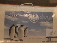 2 kussens senso cool smart - afbeelding 2 van  2