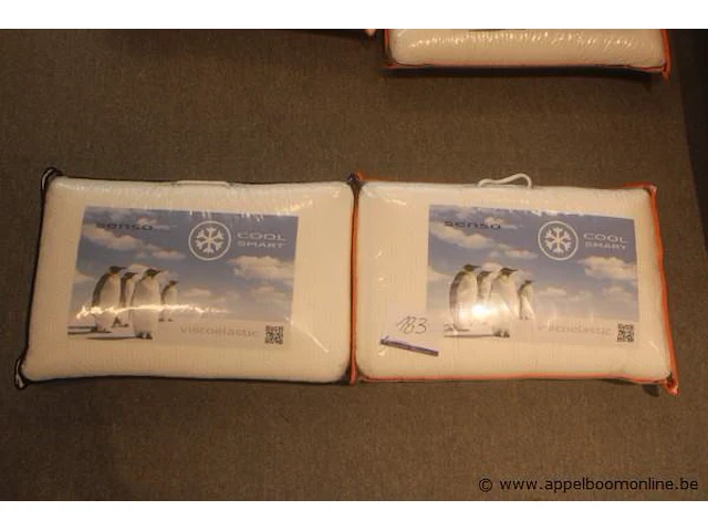 2 kussens senso cool smart - afbeelding 1 van  2