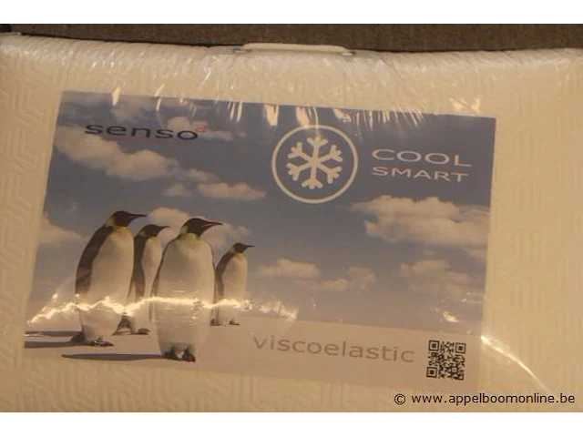 2 kussens senso cool smart - afbeelding 2 van  2