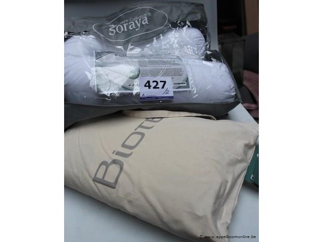 2 langwerpige kussens - afbeelding 1 van  4