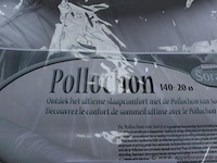 2 langwerpige kussens - afbeelding 2 van  4