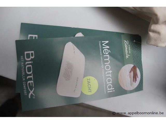 2 langwerpige kussens - afbeelding 3 van  4